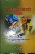 Financial report audit