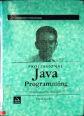 Professional Java Programming