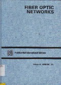 Fiber Optic Networks