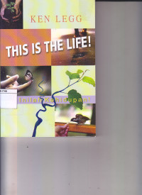 This is The Life: Inilah Kehidupan!
