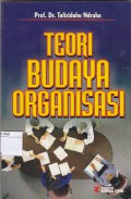 Teori budaya organisasi