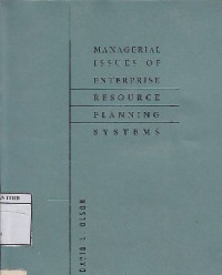 Image of Managerial Issues Of Enterprise Resource Planning Systems