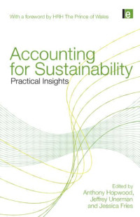 Image of Accounting for Sustainability practical insights