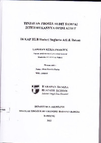 Image of Tinjauan Proses Audit Sampai Diterbitkannx Opini Audit di KAP HLB Hadori Sugiarto Adi & Rekan