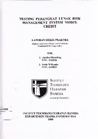 Image of Testing Perangkat Lunak Risk Management System Modul Credit
